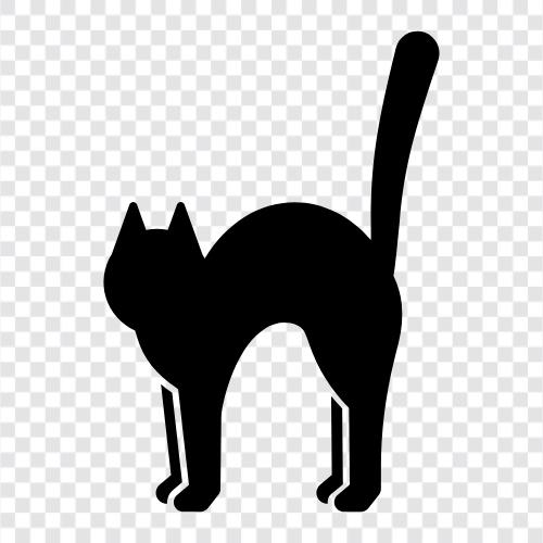 Жуткий кот, костюм кошки, чёрный кот, белый кот Значок svg