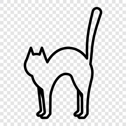 gruselige Katze, schwarze Katze, Hexe Katze, Katze Kostüm symbol