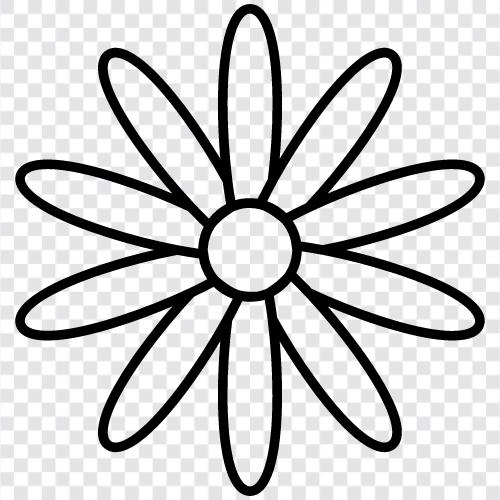 Spring blossoms, Spring flowers, Spring blooms, Spring plant icon svg