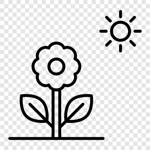 Spring, Bloom, Blooms, Bouquet icon svg