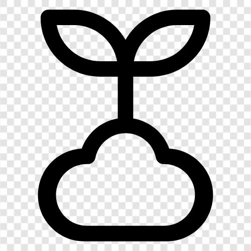 Sprossen, Samen, Pflanze, Sämlinge symbol