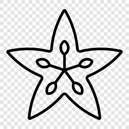 Starfruit, Averrhoa carambola, Star apple, Star Fruit icon svg