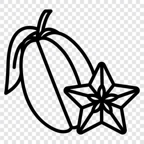 Starfruit, Averrhoa carambola, Averr symbol