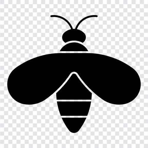 sting, stings, insect, insects icon svg