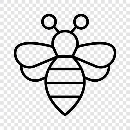 Stachel, Bienen, Wespennest, Bienennest symbol