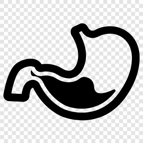 stomach, gastric, stomach ulcer, stomach cancer Значок svg