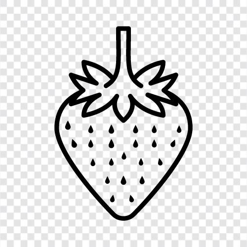 strawberry fruit, strawberry plants, strawberry crops, strawberry farming icon svg