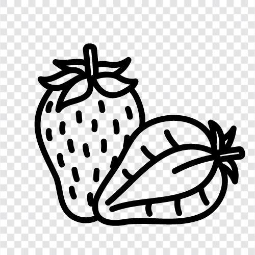 strawberry fruit, strawberry plants, strawberry cultivation, strawberry farming icon svg