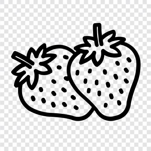 strawberry fruit, strawberry plants, strawberry crop, strawberry farming icon svg