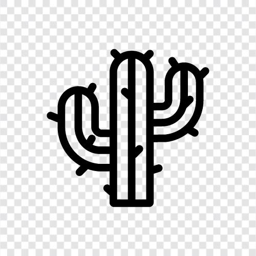 succulent, plant, photosynthesis, spines icon svg