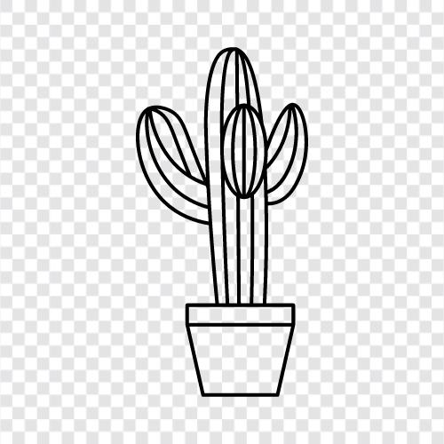 succulent, desert, prickly, flowers icon svg