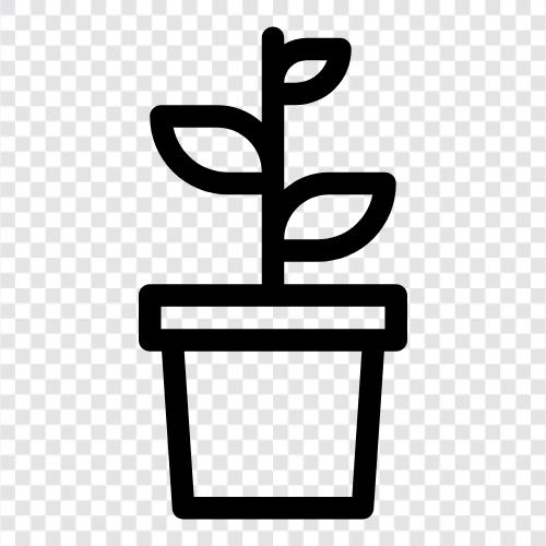 succulent, cactus, succulent planter, succulent container icon svg