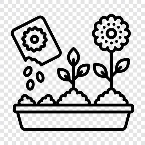 succulents, cacti, ferns, indoor plants icon svg