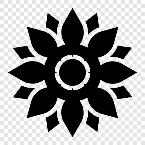 Sunflower Seeds icon