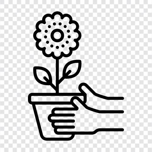 ayçiçeği, ayçiçeği tohumu, ayçiçeği yağı, ayçiçeği bitkileri ikon svg