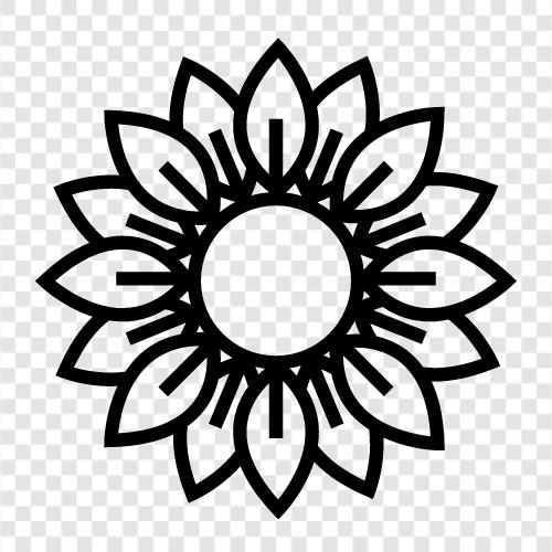 Sunflowers, Sunflower Seeds, Sunflower Oil, Sunflower icon svg