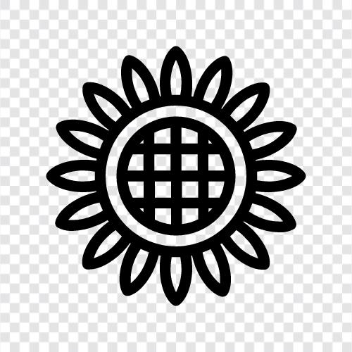 Sonnenblumen, Sonnenblumenkerne, Sonnenblumenöl symbol