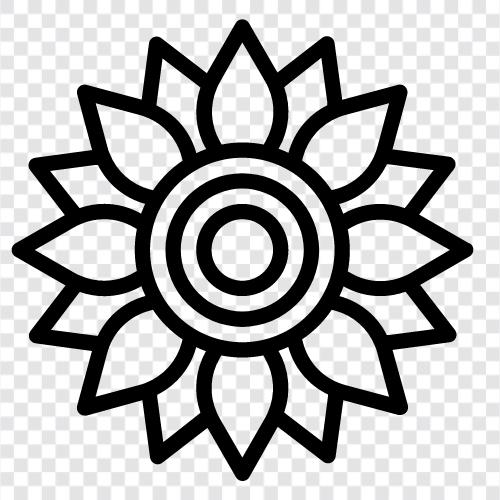 sunflowers, sunflower seeds, sunflower oil, Sunflower icon svg