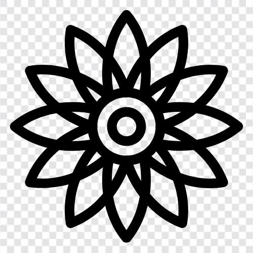 Sonnenblumen, Sonnenblumenkerne, Sonnenblumenbutter, Sonnenblumenöl symbol