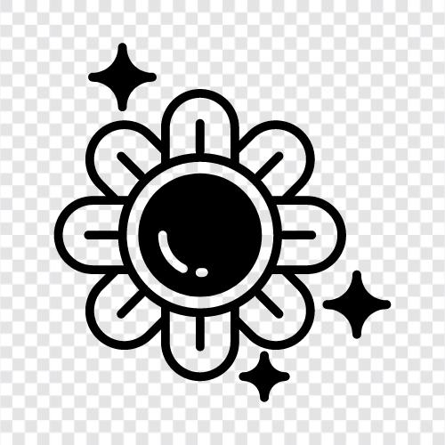 Sonnenblumen, Sonnenblumenkerne, Sonnenblumenöl symbol