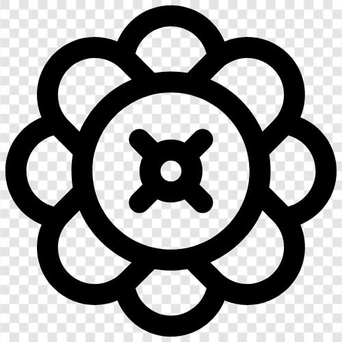 Sonnenblumen, Sonnenblumenkerne, Sonnenblumenöl symbol