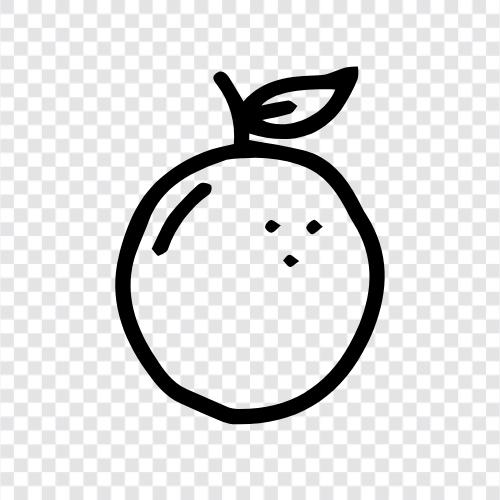 sunny, delicious, vitamin C, happy icon svg