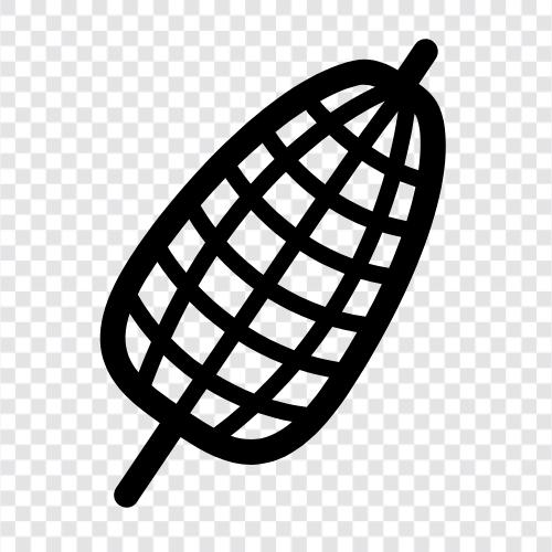 sweet corn, maize, corn tortillas, corn on the cob icon svg