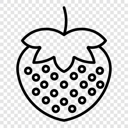 sweet, fruit, delicious, Strawberry icon svg