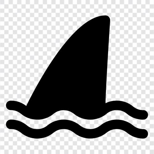 Schwimmen, Flossen, Schwimmer symbol