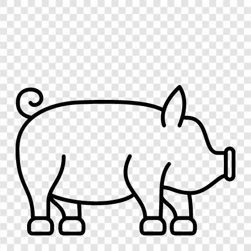 swine, pork, bacon, ham icon svg