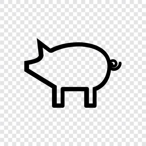 Schweine, Nutztier, Tierrassen, Schweinerassen symbol