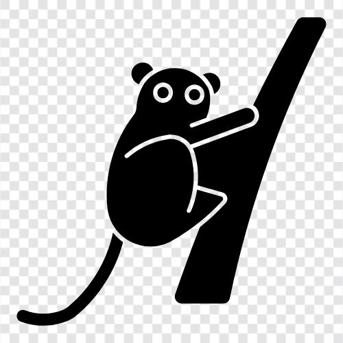 tarsier icon svg