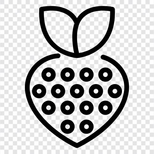 tart, sweet, flavor, fruit icon svg