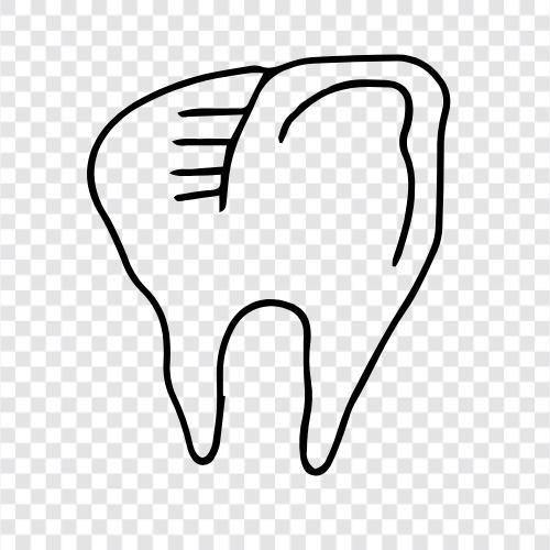 Teeth, Dental, Dentist, NHS icon svg