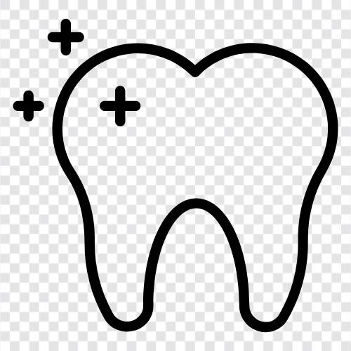 teeth, brushing, flossing, mouthwash icon svg