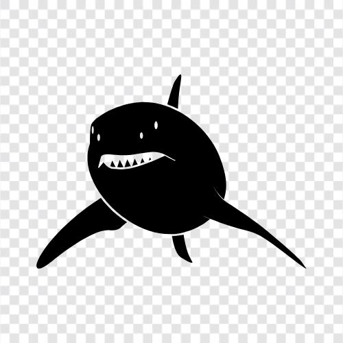 teeth, attack, great whites, Carcharhin icon svg