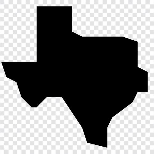 texas state map, texas county map, texas city map, texas map icon svg