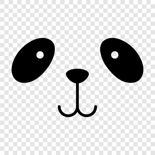 der chinesische RiesenPanda, ist das beliebteste Tier im Internet, Panda symbol