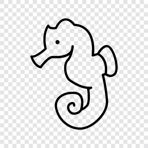 tiddler, fish, marine, seahorse icon svg