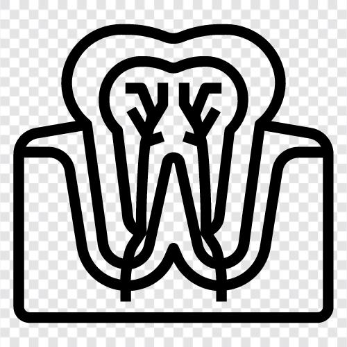 tooth pain, toothache, dental pain, dentalache icon svg