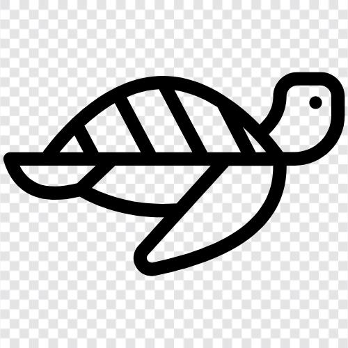 Schildkröte, Schnappschildkröte, Krokodil, Alligator symbol