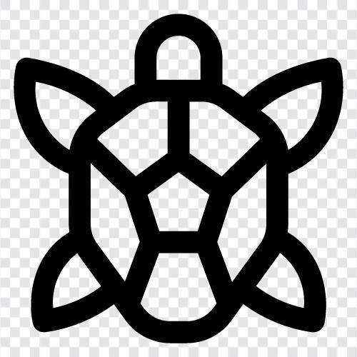 Schildkröte, langsam, faul, lethargisch symbol