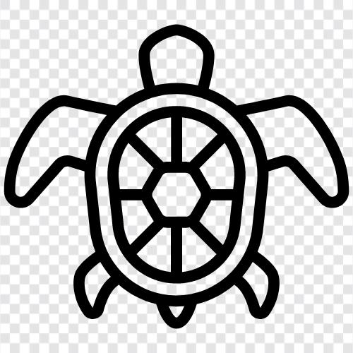 tortoise, sea turtle, loggerhead, hawksbill icon svg