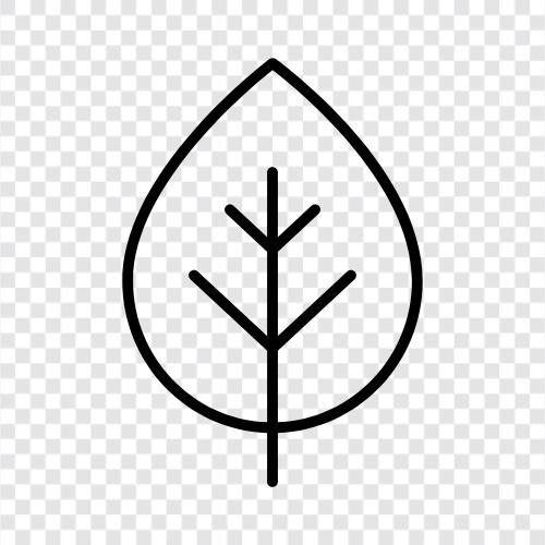 Baum, Blätter, Klinge, Struktur symbol