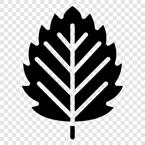 Baum, grün, frisch, Biodiversität symbol