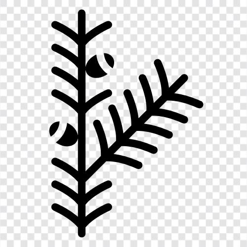 tree, leaves, needles, bark icon svg