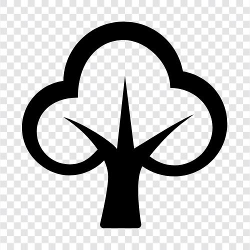 Baum symbol