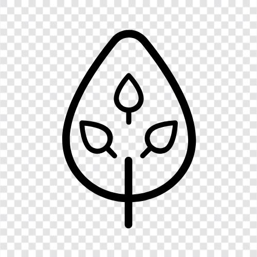 Baum, Pflanze, Hauspflanze, Balkonpflanze symbol