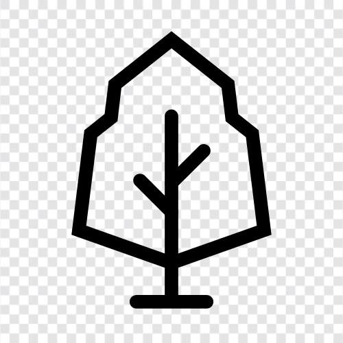 Baum symbol