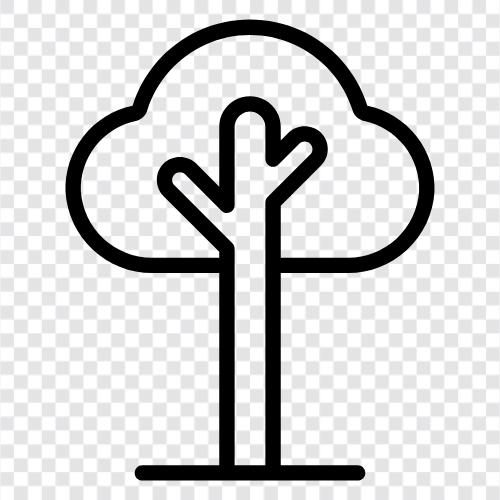 Baum symbol